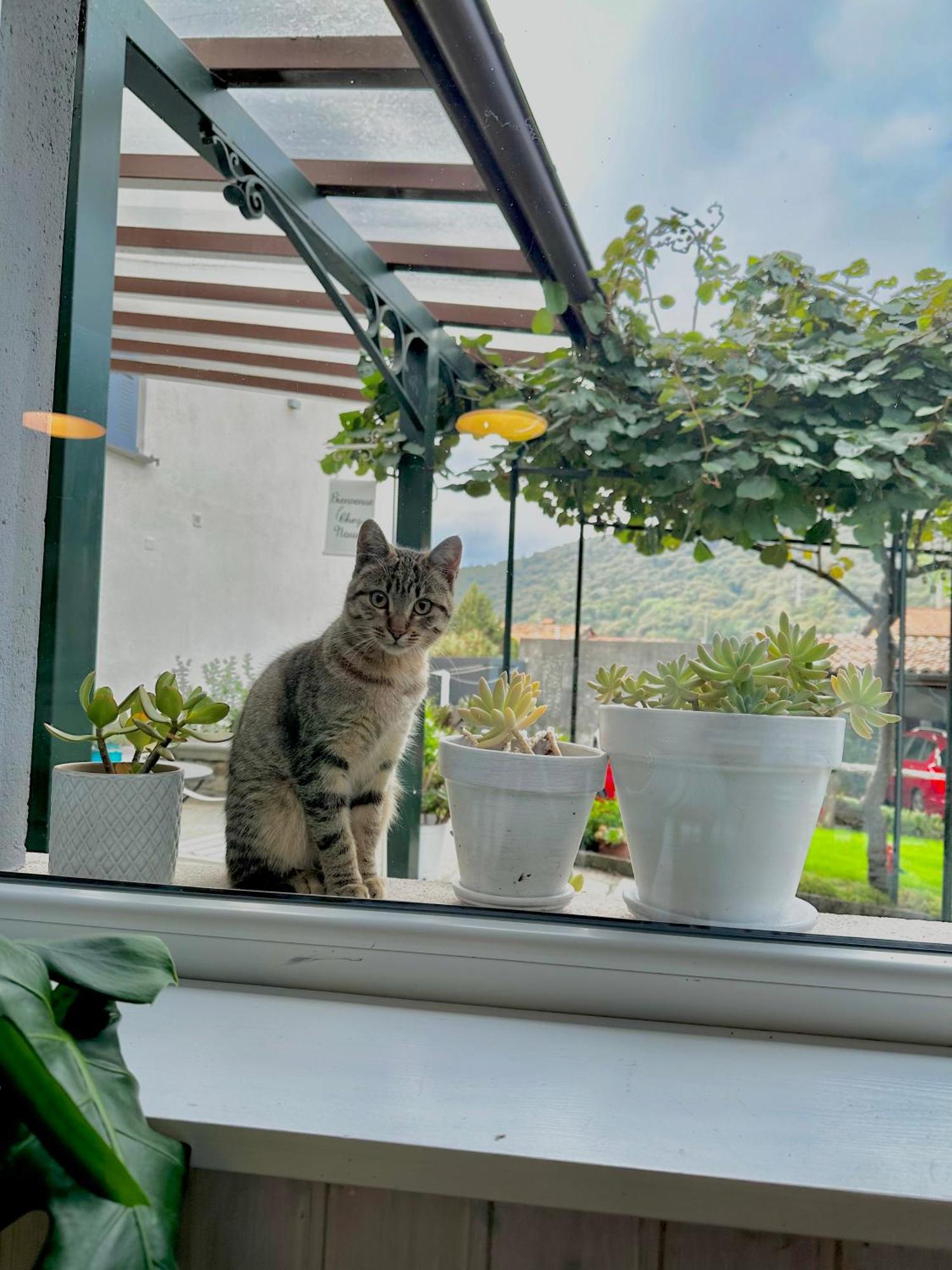 B&B La Dolce Casa Lago Di Como Cremia Bagian luar foto